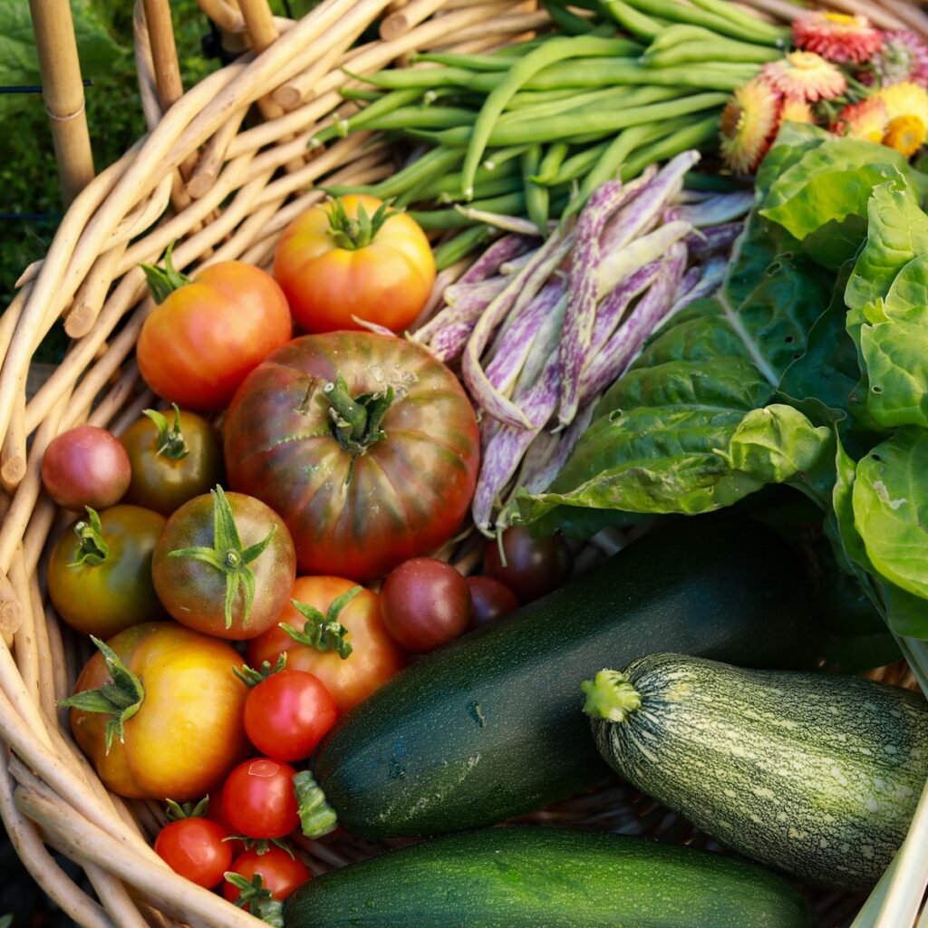 Basket of orchard vegetables from the morning harvest